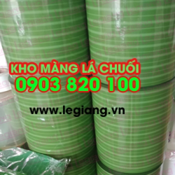 Chuyên Cung Cấp Lá Chuối Giả Giá Rẻ Tại Tphcm
